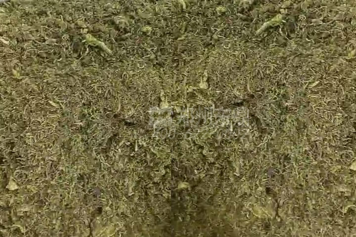 牧草烘干機(jī)如何科學(xué)選型？牧草烘干過程中營養(yǎng)成分會流失嗎